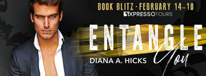 Entangle You Book Blitz