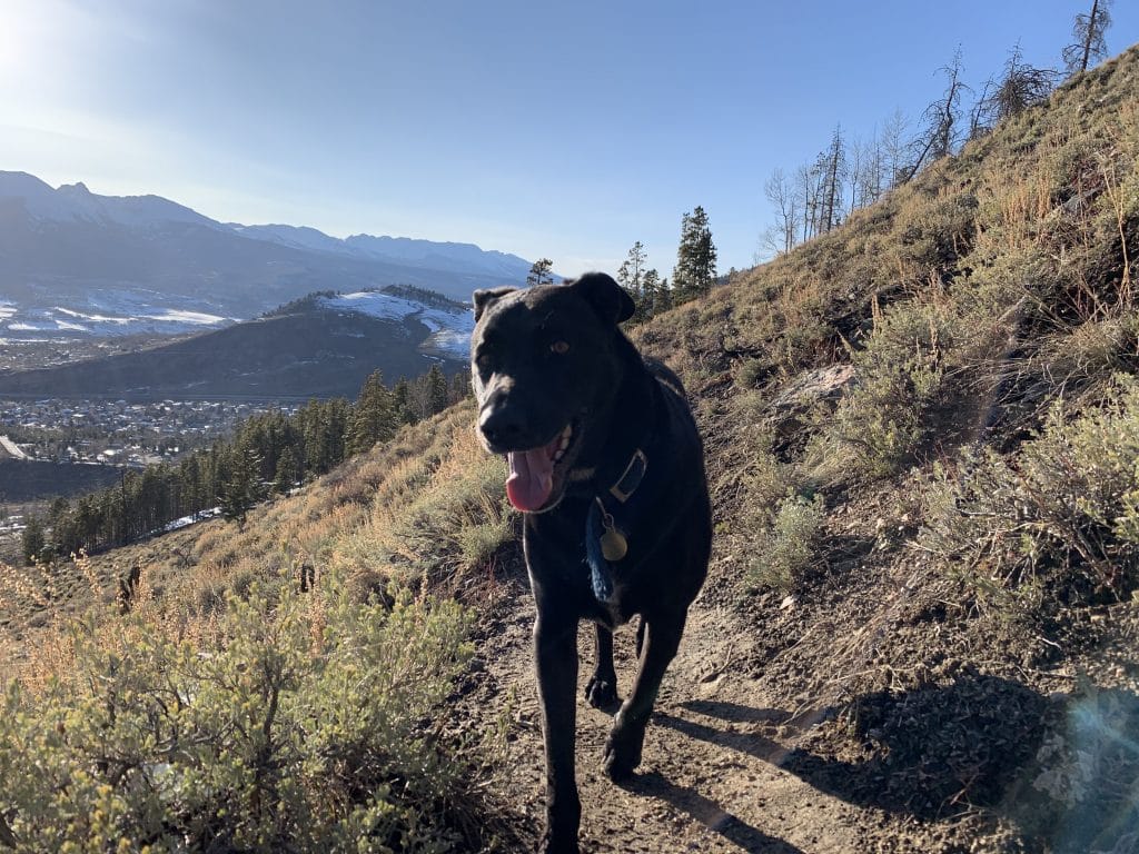 Thinking of hiking during mud season in Summit County? Here’s what you should know.