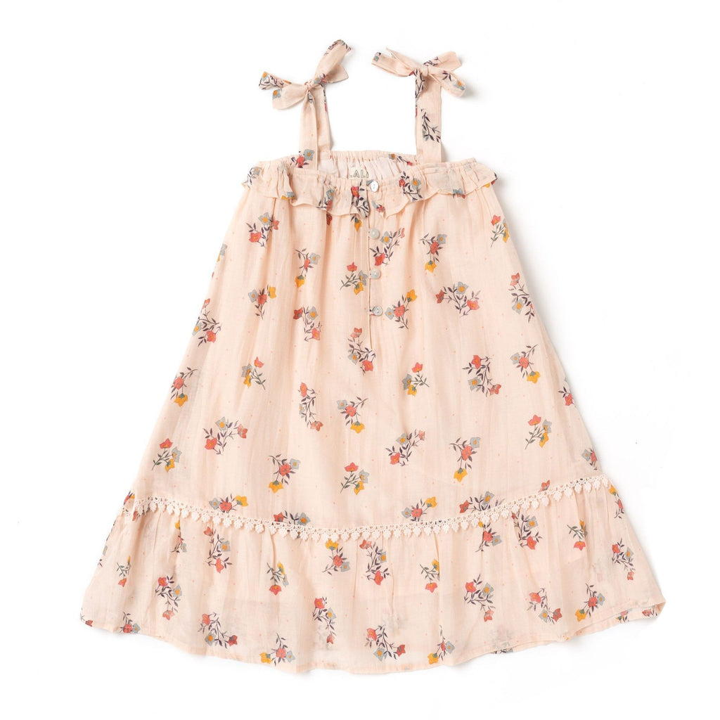 Bougainvillea Jaipur Dre