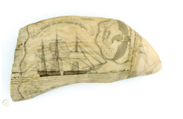 Scrimshaw: The World’s Largest Collection at the New Bedford Whaling Museum
