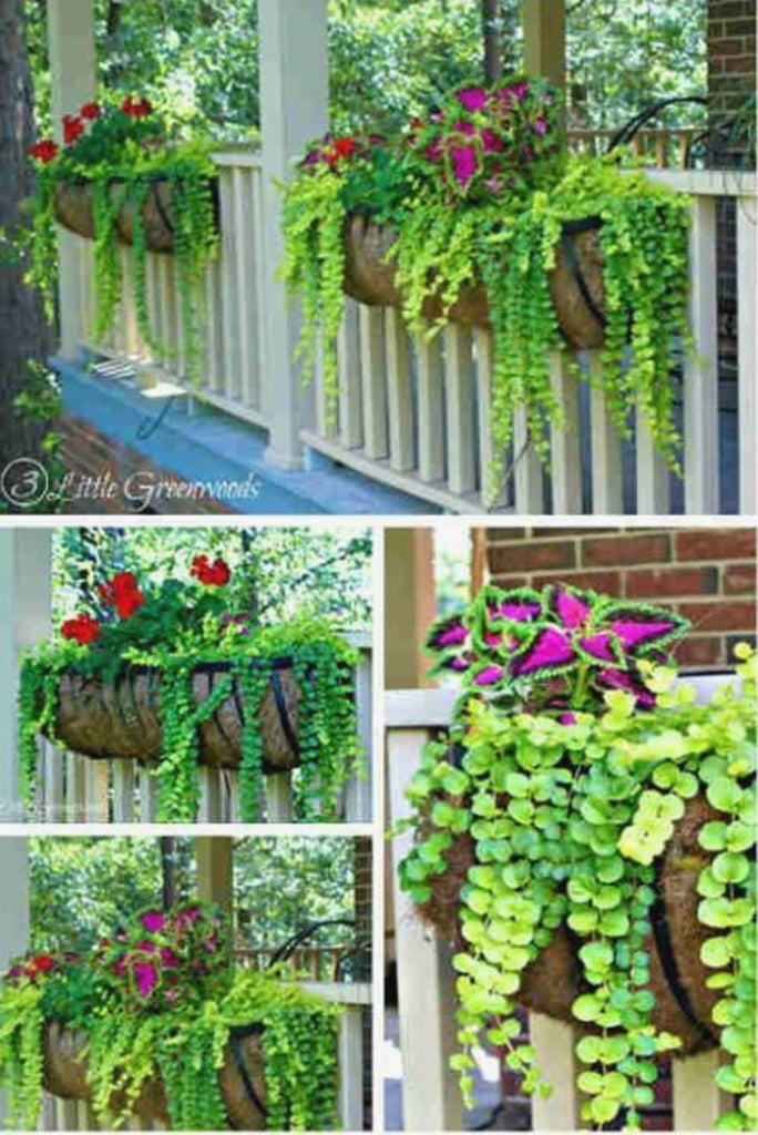 Beat Rail Hanging Planters
