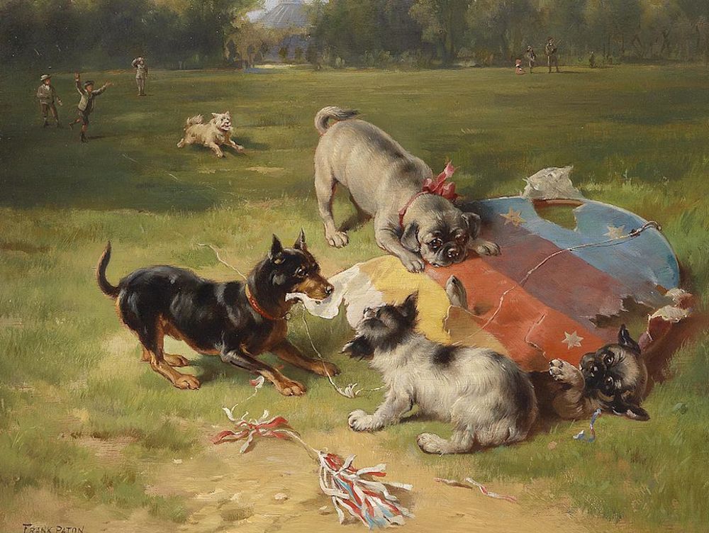 The Dogs of Plaza Almagro